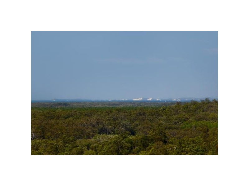 Mooloolah Valley QLD 4553