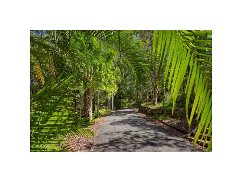 Mooloolah Valley QLD 4553