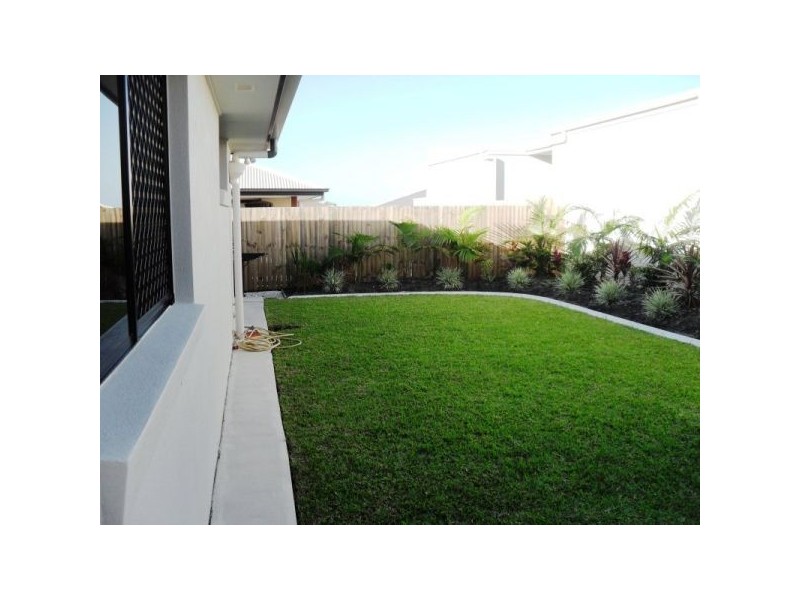 11 Myrtus St, Mountain Creek QLD 4557