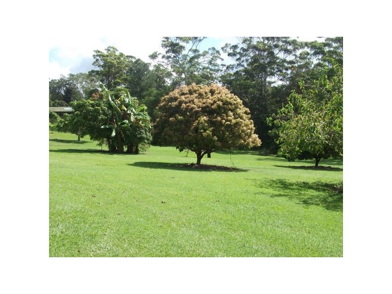 Mooloolah Valley QLD 4553