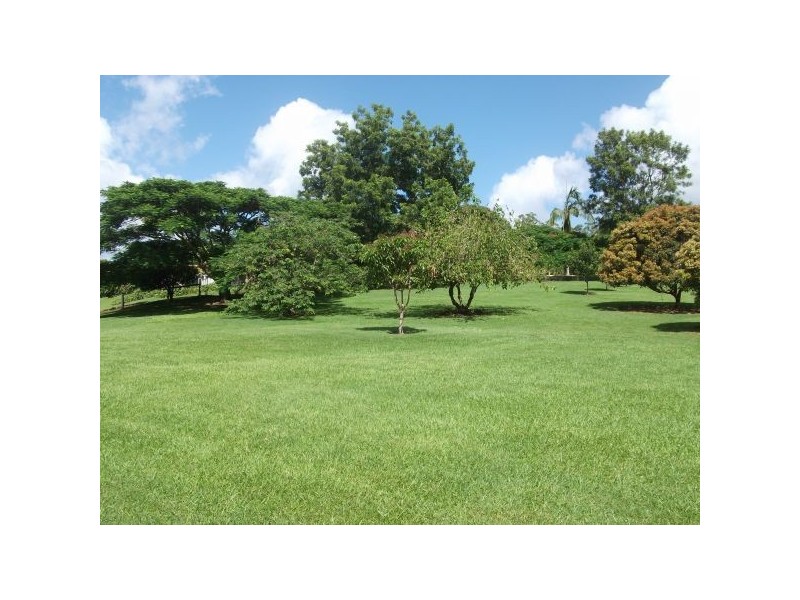 Mooloolah Valley QLD 4553