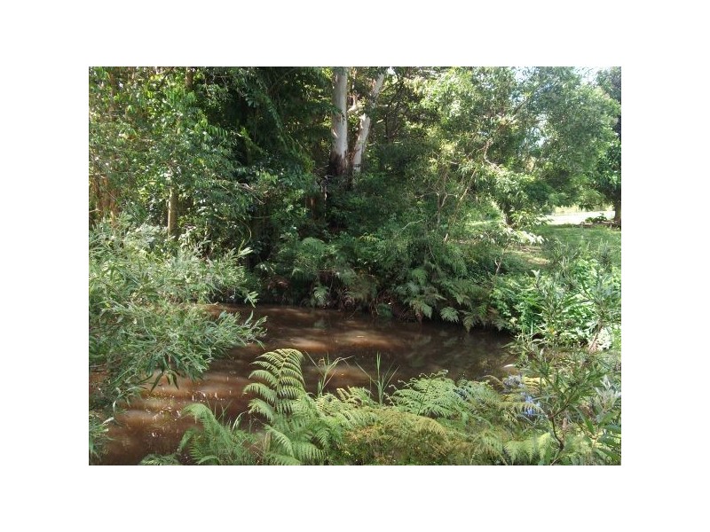 Mooloolah Valley QLD 4553