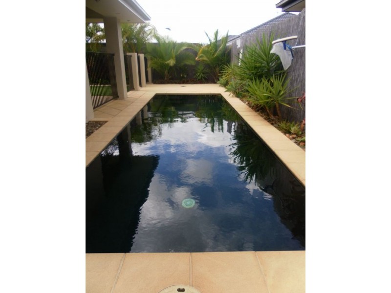 16 Burrows St, Sippy Downs QLD 4556
