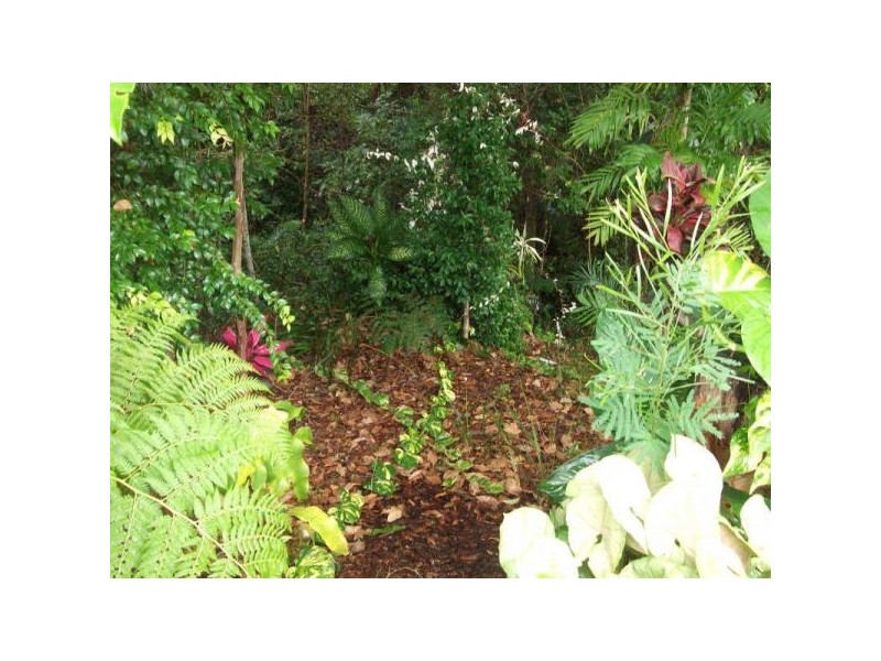 20 Samuel Place, Mooloolah Valley QLD 4553