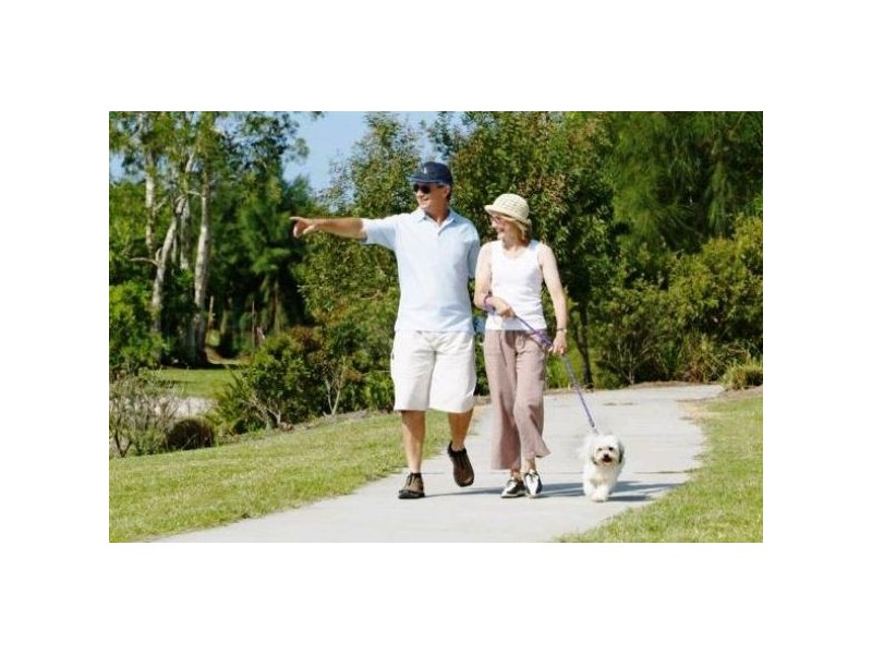 14 Silvereye Street, Sippy Downs QLD 4556