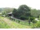1 Songbird Place, Mooloolah Valley QLD 4553