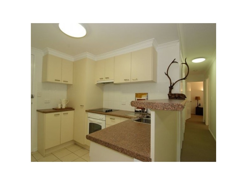 17/2 Box St, Buderim QLD 4556