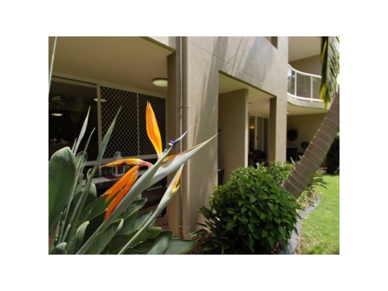 17/2 Box St, Buderim QLD 4556