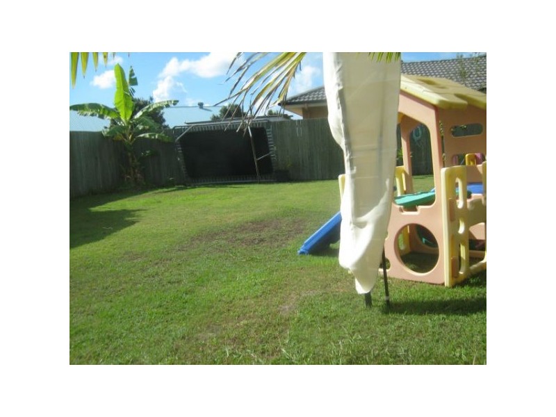 31 Lacewing Drive, Sippy Downs QLD 4556