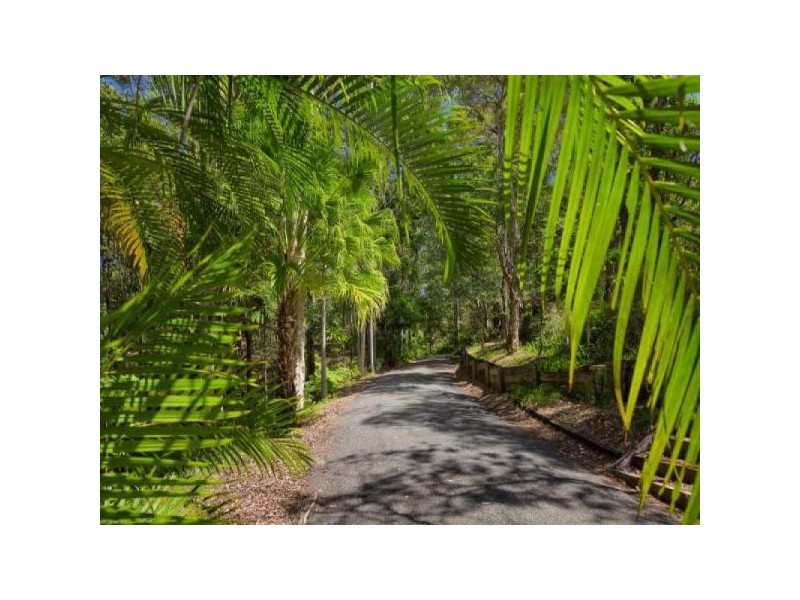 320 Tunnel Ridge Rd, Mooloolah Valley QLD 4553