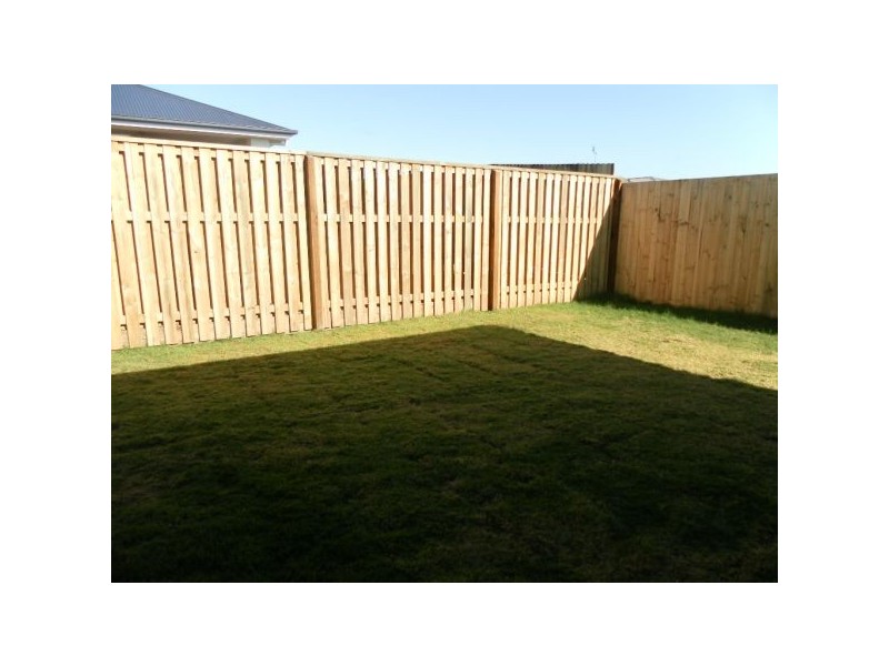 31 Tibouchina St, Mountain Creek QLD 4557