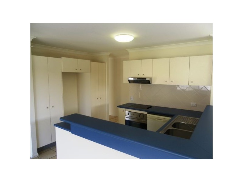 43 Fitzwilliam Drive, Sippy Downs QLD 4556