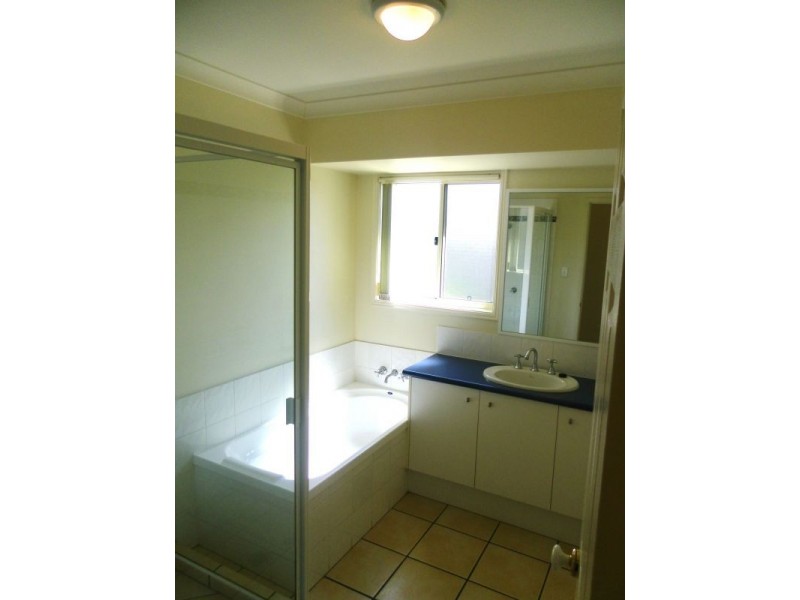 43 Fitzwilliam Drive, Sippy Downs QLD 4556
