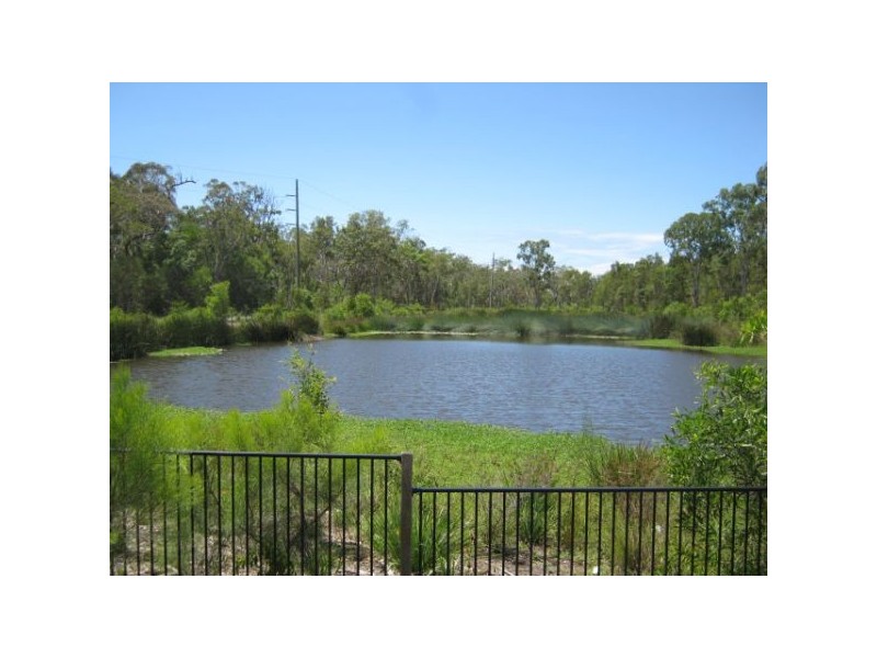 31 Wisteria St, Sippy Downs QLD 4556