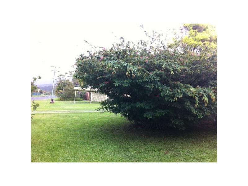 39 Dorson Drive, Mooloolah Valley QLD 4553