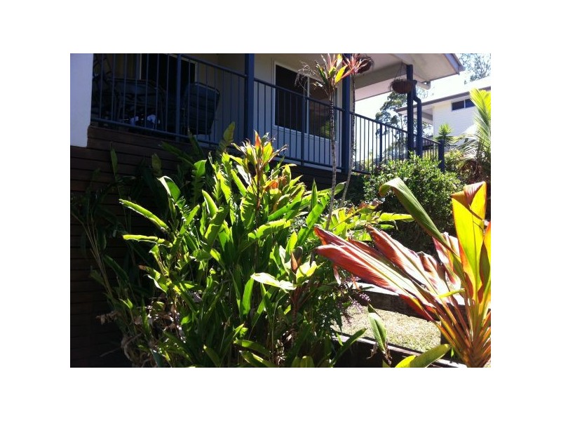 11 Ridge court, Mooloolah Valley QLD 4553