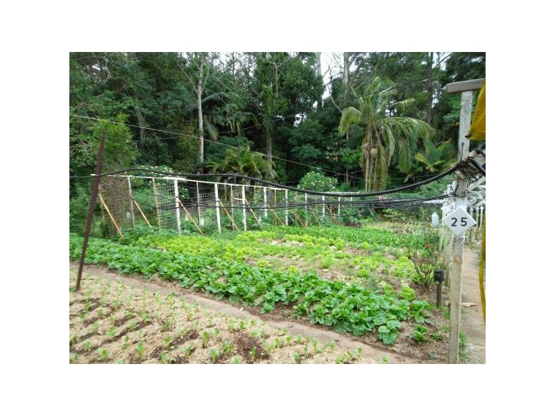 Palmwoods QLD 4555
