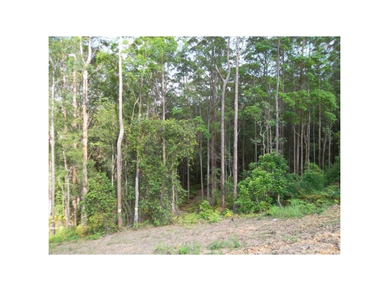 Diamond Valley QLD 4553