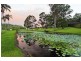 14 Platypus Crt, Mooloolah Valley QLD 4553