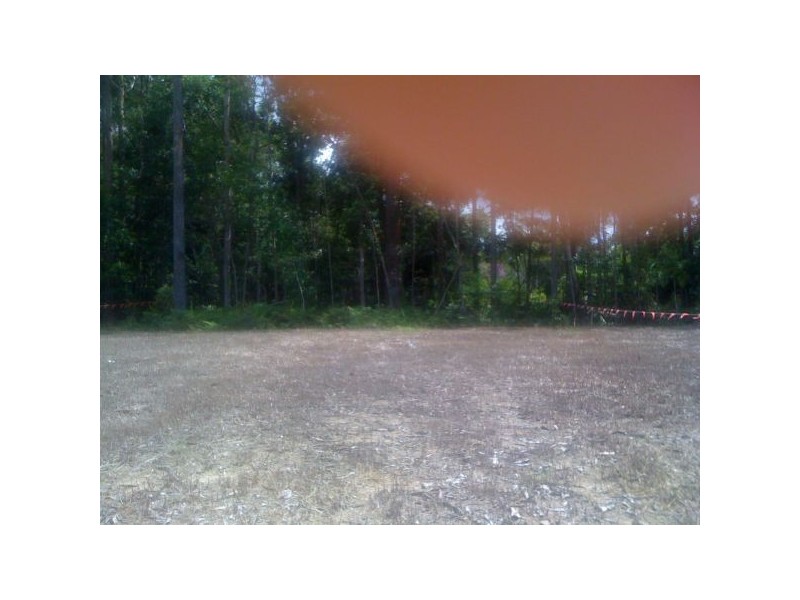 lot 4 Sanctuary Grove, Buderim QLD 4556