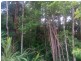 lot 11 Quiet Close, Buderim QLD 4556