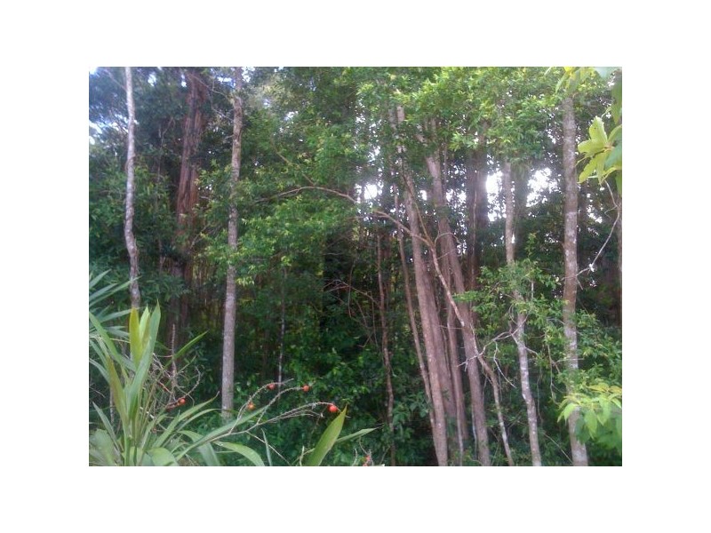 lot 11 Quiet Close, Buderim QLD 4556