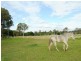 lot 50 Hamilton Close, Mooloolah Valley QLD 4553