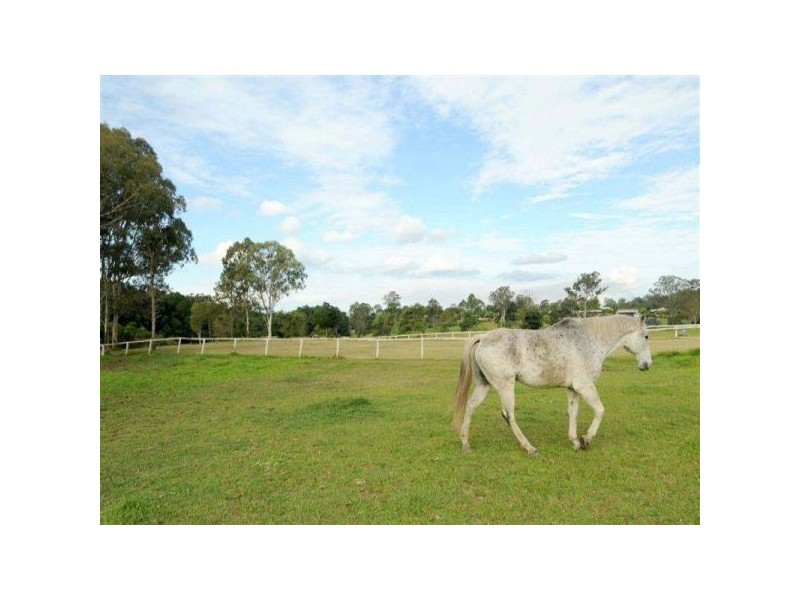 lot 50 Hamilton Close, Mooloolah Valley QLD 4553