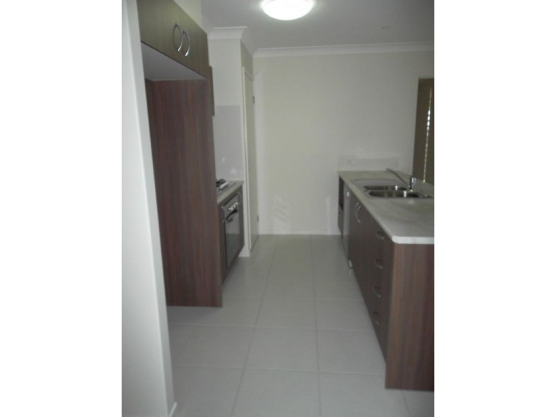 4 Cable Court, Mountain Creek QLD 4557