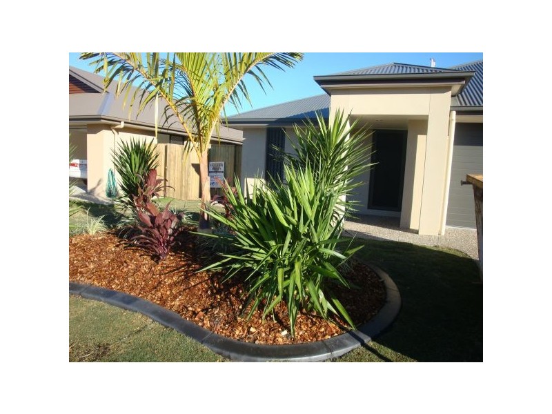 56 Creekside Drive, Sippy Downs QLD 4556