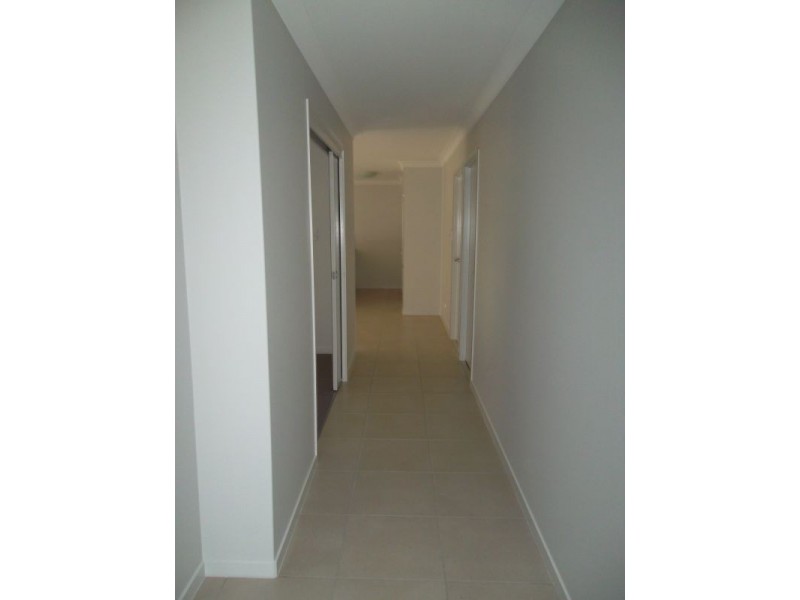 14 Aloe St, Mountain Creek QLD 4557