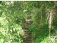 Mooloolah Valley QLD 4553