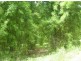Mooloolah Valley QLD 4553