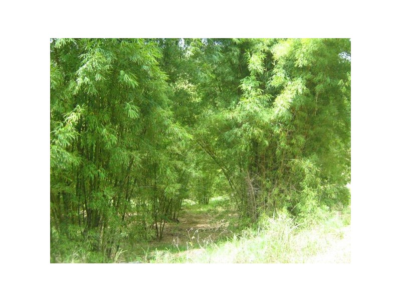 Mooloolah Valley QLD 4553