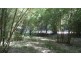 Mooloolah Valley QLD 4553