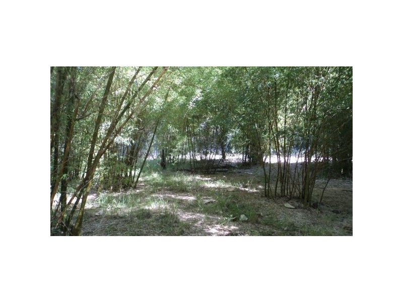 Mooloolah Valley QLD 4553