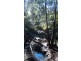 Mooloolah Valley QLD 4553