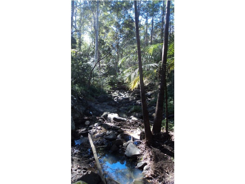 Mooloolah Valley QLD 4553
