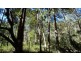 Mooloolah Valley QLD 4553