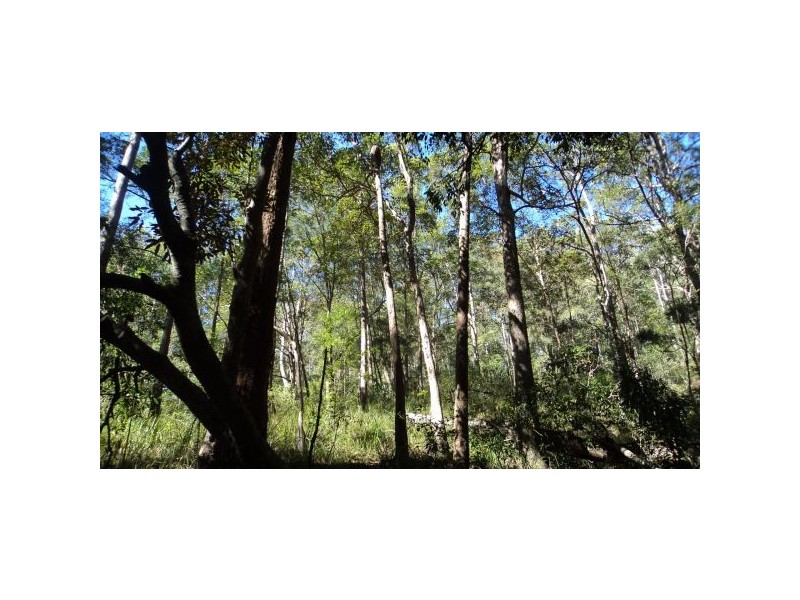 Mooloolah Valley QLD 4553