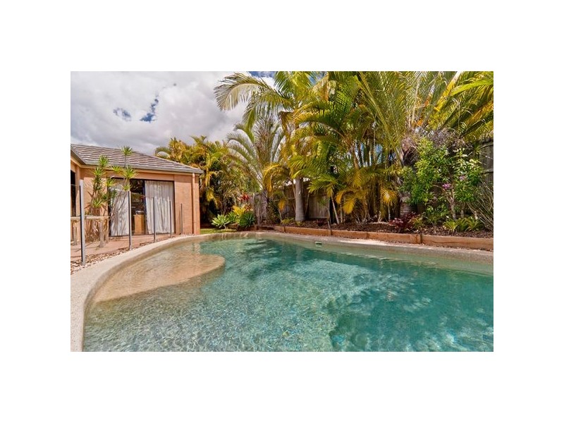 14 Petigrain Ave, Palmwoods QLD 4555