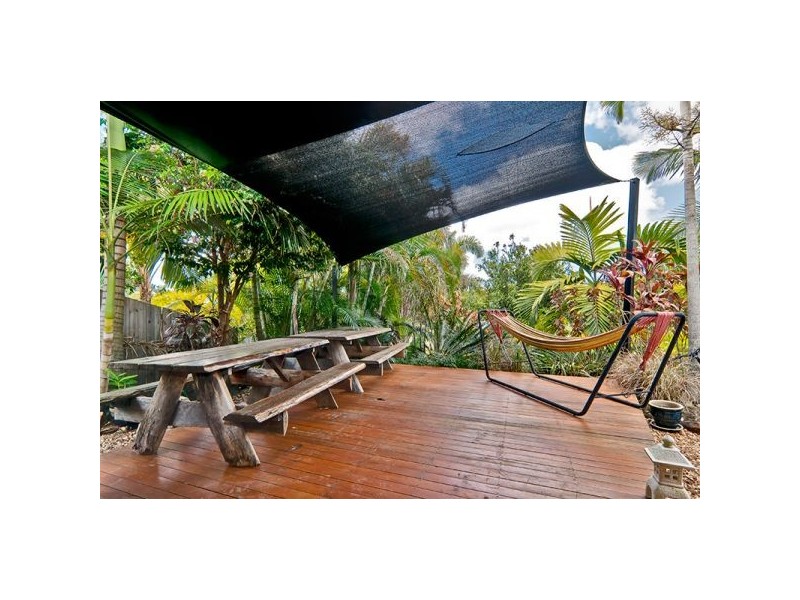 14 Petigrain Ave, Palmwoods QLD 4555