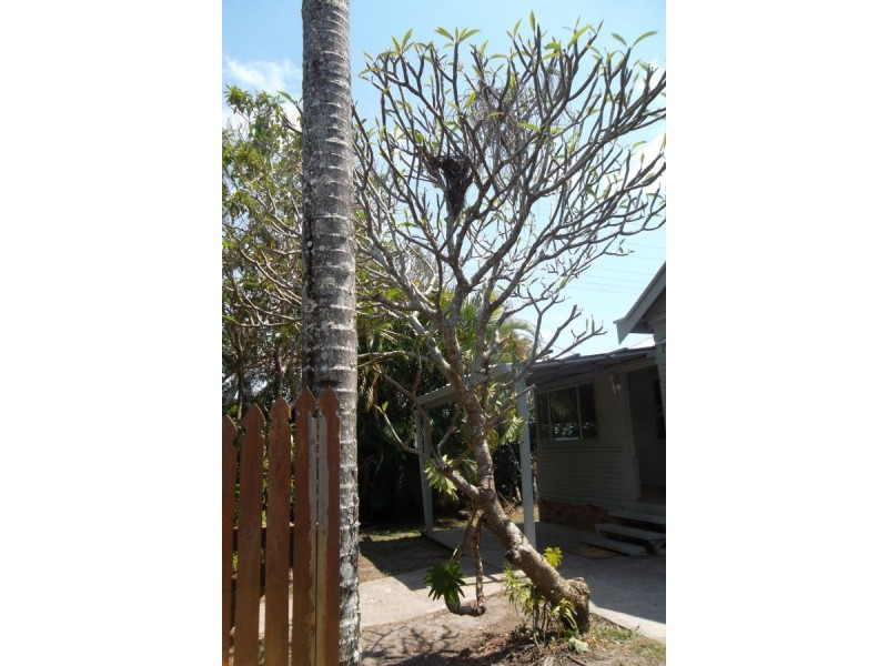 19 Hinley Ave, Maroochydore QLD 4558