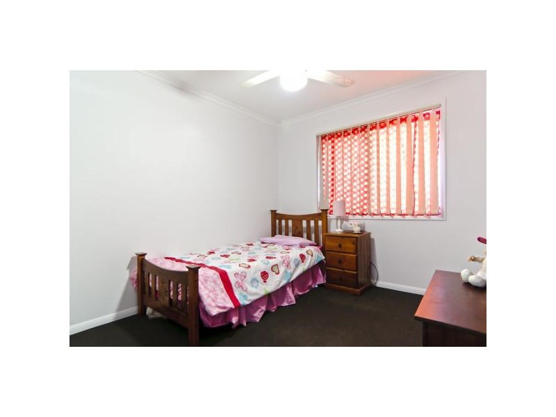 12 Riflebird Place, Mountain Creek QLD 4557