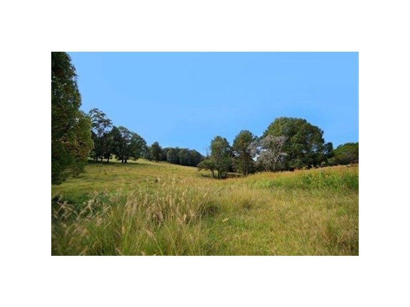 361 Yandina Cooloolabin, Yandina QLD 4561