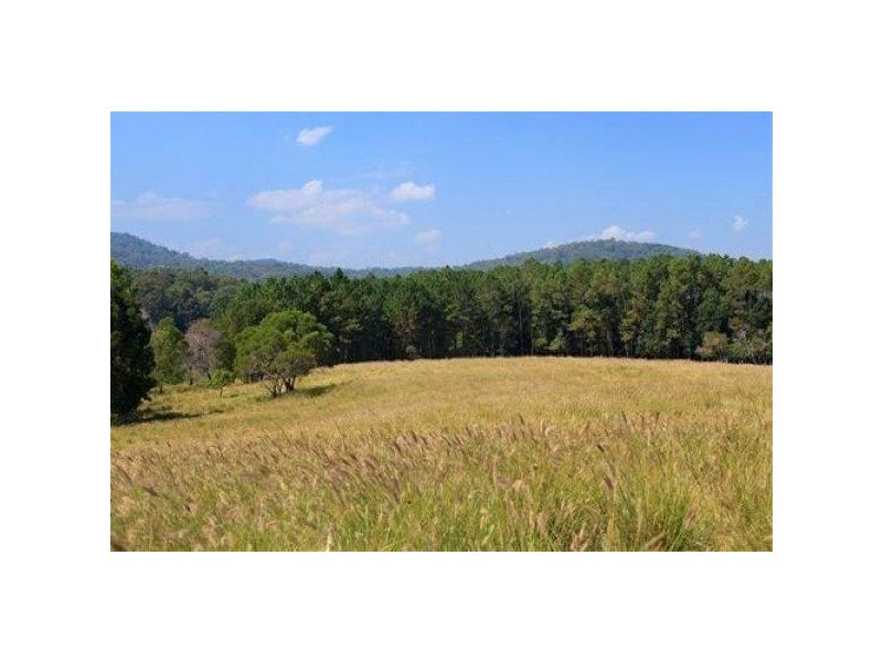 361 Yandina Cooloolabin, Yandina QLD 4561