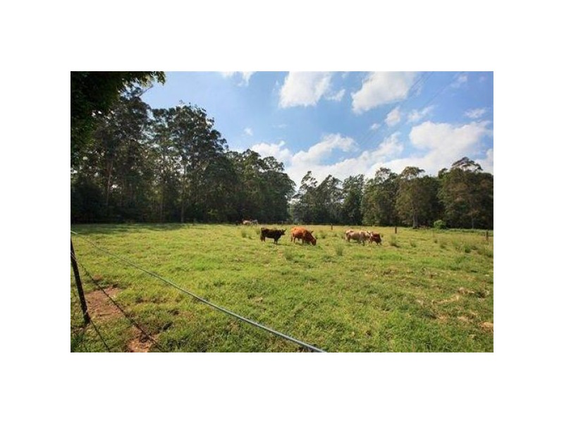 361 Yandina Cooloolabin, Yandina QLD 4561