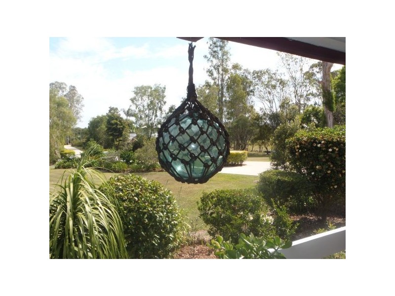 Mooloolah Valley QLD 4553