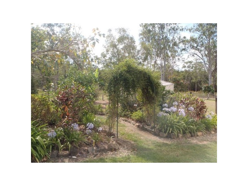 Mooloolah Valley QLD 4553