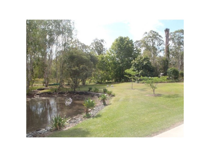 Mooloolah Valley QLD 4553